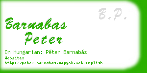 barnabas peter business card