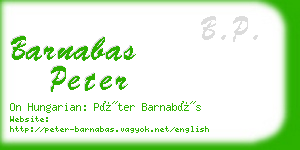 barnabas peter business card